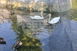 Турция - Анкара - парк „Кугулу“