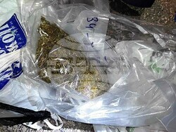 Снимка: МВР