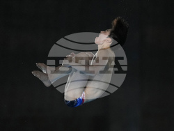 Paris Olympics Diving