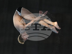 Paris Olympics Diving