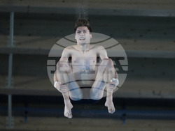 Paris Olympics Diving