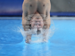 Paris Olympics Diving