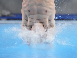 Paris Olympics Diving