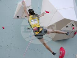 Paris Olympics Sport Climbing
