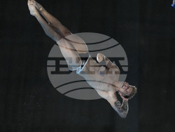 Paris Olympics Diving