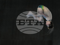 Paris Olympics Diving