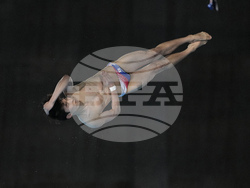 Paris Olympics Diving