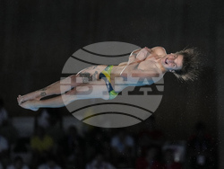 Paris Olympics Diving