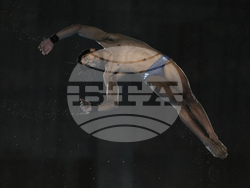 Paris Olympics Diving