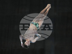 Paris Olympics Diving