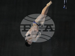 Paris Olympics Diving