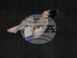 Paris Olympics Diving