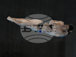 Paris Olympics Diving
