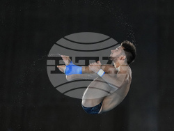 Paris Olympics Diving