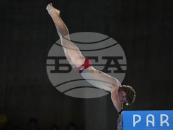 Paris Olympics Diving