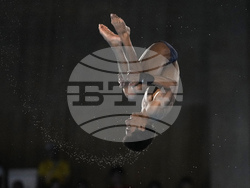 Paris Olympics Diving