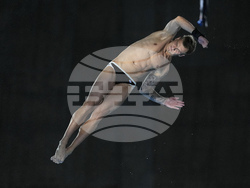 Paris Olympics Diving