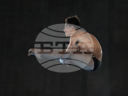 Paris Olympics Diving