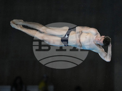 Paris Olympics Diving