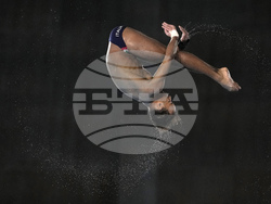 Paris Olympics Diving