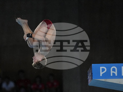 Paris Olympics Diving