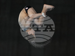 Paris Olympics Diving