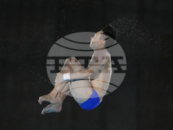 Paris Olympics Diving
