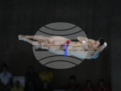 Paris Olympics Diving