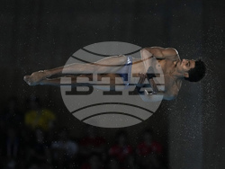Paris Olympics Diving
