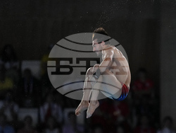 Paris Olympics Diving