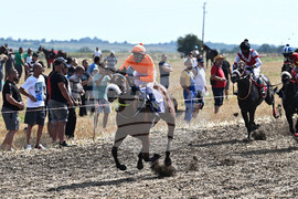 Село Беловец - конни надбягвания