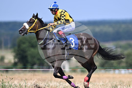 Село Беловец - конни надбягвания