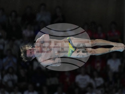 Paris Olympics Diving