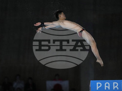 Paris Olympics Diving