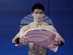 Paris Olympics Diving