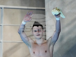 Paris Olympics Diving
