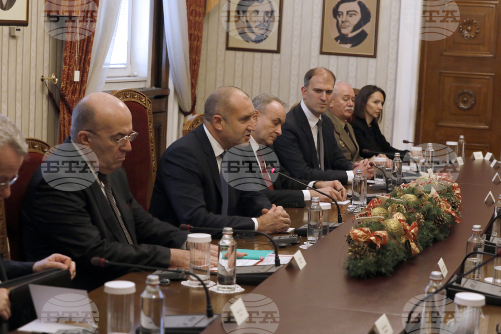 Румен Радев - Катерина Сакеларопулу - пленарни разговори