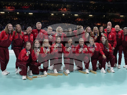 Paris Olympics Handball