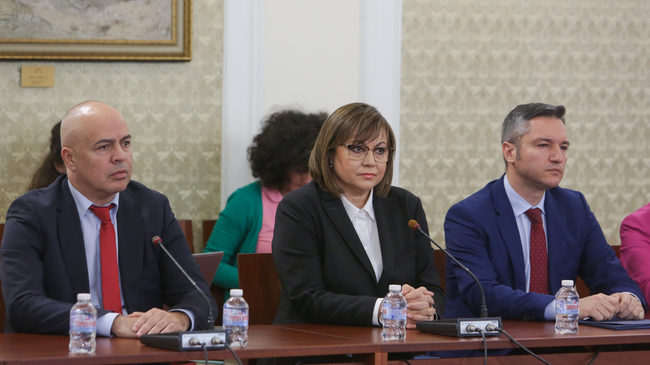 BSP Expresses Respect for Gabrovski's Professionalism, but Would Not Support a Government Headed by Him