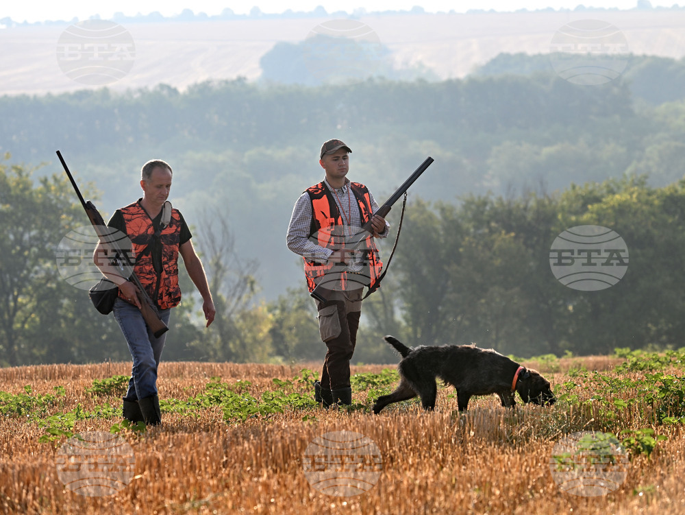 С 38 ловци по-малко се открива в Смолянско ловният сезон за местен дребен и едър дивеч и групов лов на дива свиня
