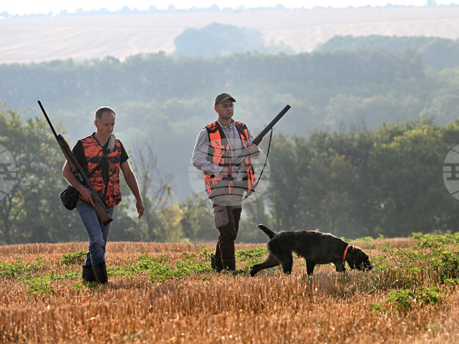 С 38 ловци по-малко се открива в Смолянско ловният сезон за местен дребен и едър дивеч и групов лов на дива свиня