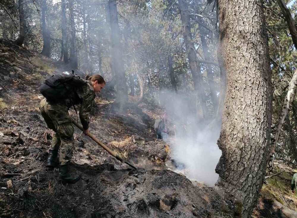 МО: Военнослужещи от Сухопътните войски продължават да участват в гасенето на пожара в планината Славянка край село Голешово
