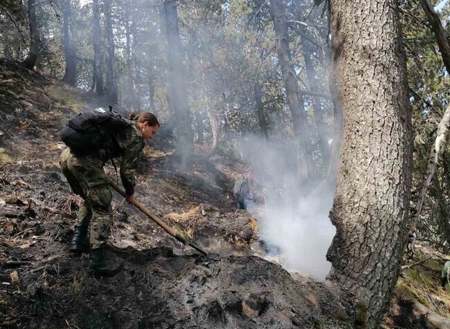 МО: Военнослужещи от Сухопътните войски продължават да участват в гасенето на пожара в планината Славянка край село Голешово