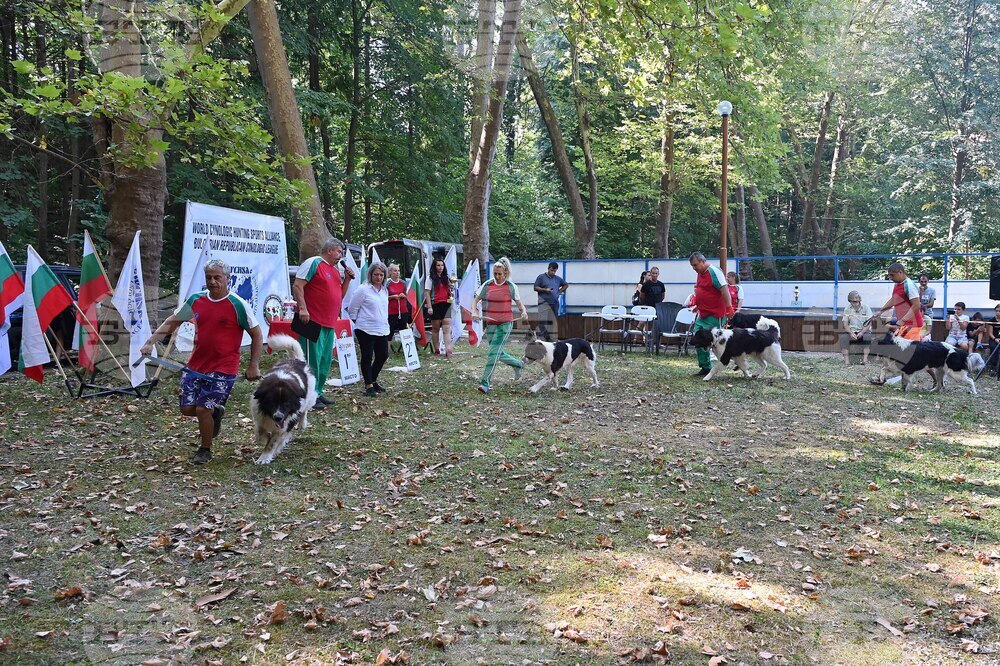 Вършец - „Българско овчарско куче“ - киноложка изложба