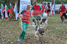 Вършец - „Българско овчарско куче“ - киноложка изложба