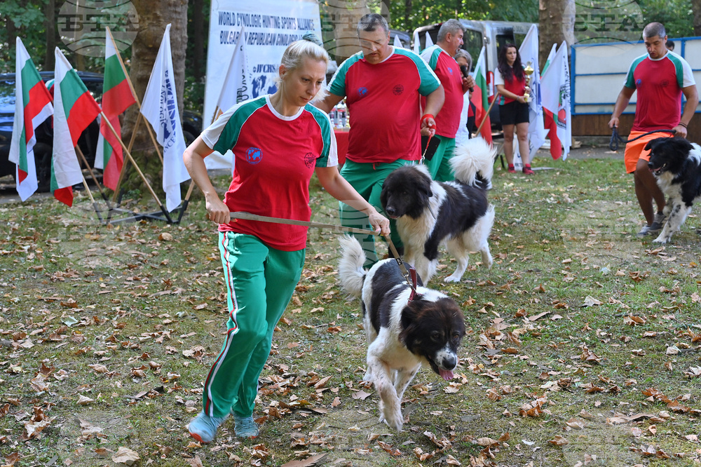 Вършец - „Българско овчарско куче“ - киноложка изложба