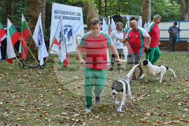 Вършец - „Българско овчарско куче“ - киноложка изложба