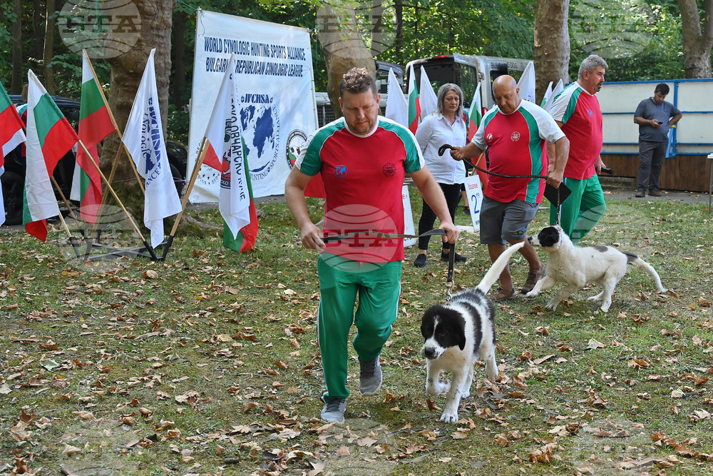 Вършец - „Българско овчарско куче“ - киноложка изложба