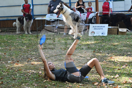 Вършец - „Българско овчарско куче“ - киноложка изложба