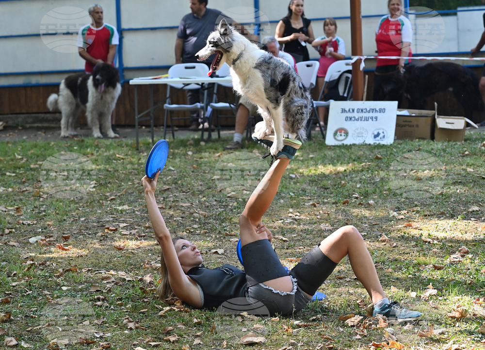Вършец - „Българско овчарско куче“ - киноложка изложба